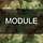 Grafic for the Modules