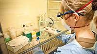 A woman in protective clothing carries out a laboratory test behind a protective screen