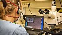 A woman wearing a headset is sitting in front of a microscope and looks at the laptop beside it