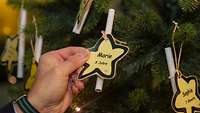 Eine Hand hält einen gelben Stern mit Druck, der an einem Weihnachtsbaum hängt. 