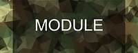 Module 2021 Schriftzug Module auf Polygonhintergrund