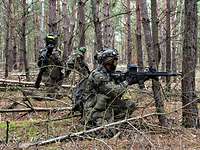 Panzergrenadiere im Waldkampf bei der Übung Kalter Wettiner Drei Soldaten kämpfen mit Sturmgewehren im Wald.