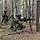Drei Soldaten kämpfen mit Sturmgewehren im Wald.
