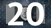 Türchen 20