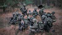 Soldaten in Gefechtsausstattung auf einer Waldlichtung
