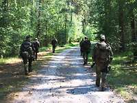 Ausbildung Fußpatrouille Soldaten auf einer Fußpatrouille durch den Wald.