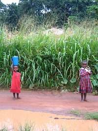 Zwei Mädchen stehen mit Abstand zueinander vor einer Pfütze. Eine trägt ein Gefäß mit Wasser auf dem Kopf