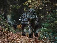 Soldaten, von hinten gesehen, laufen mit ihrer Ausrüstung einen Waldweg entlang