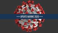 Marine und Coronavirus 2020 Computer-Illustration eines Coronavirus: ein grauer Ball mit rauher Oberfläche und roten Zapfen, die daraus hervorragen.