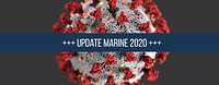 Marine und Coronavirus 2020 Computer-Illustration eines Coronavirus: ein grauer Ball mit rauher Oberfläche und roten Zapfen, die daraus hervorragen.