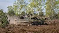 Ein Panzer steht auf einer Wiesevor Bäumen