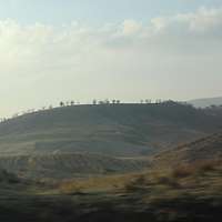 In der Ferne liegt ein grüner Hügel, auf dem einzelne Bäum stehen. Der Himmel ist leicht bewölkt. 