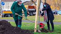 Weibliche Person in zivil und männliche Person in grüner Arbeitskleidung pflanzen einen Baum auf einer Wiese
