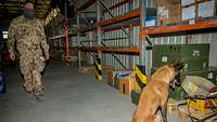 Ein Hund sitzt vor einem Regal in einer Lagerhalle und schaut auf einen Karton. Ein Soldat geht auf ihn zu