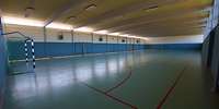 Blick in eine Sporthalle mit grünem Boden und blau-beigen Wänden