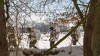 Aus dem Wald kann man die Soldatinnen und Soldaten beim Marschieren beobachten.