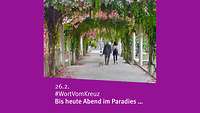 Paradies