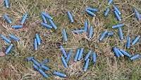 Blaue Munition auf Gras