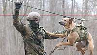Ein Hund mit Weste hängt in einem Geschirr an einem Seilsteg. Ein Soldat zieht ihn mit sich.