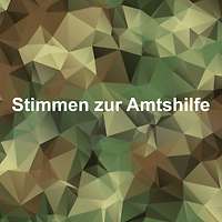 Auf einem Polygon-Hintergrund steht „Stimmen der Amtshilfe“ geschrieben