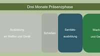 Schematischer Ablauf Übersicht mit den Inhalten der 12-wöchigen Grundausbildung sowie unter Corona-Bedingungen