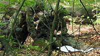Zwei Soldaten schauen auf eine Landkarte am Boden, einer notiert sich die Koordinaten.