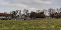 Auf einer Wiese sind verschiedene Konstruktionen aus Holz aufgebaut.