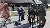 Zwei Soldaten beladen ein Maultier mit Waffen, eine Zivilistin in einem blauen Anzug und ein Soldat schauen zu.
