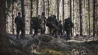 Ein Gruppe Soldaten geht durch einen Wald