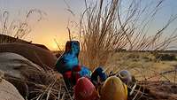 Osterhasen Ein Osterhase und vier Ostereier im Gras im Hintergrund geht die Sonne auf