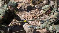 Zwei Soldaten sägen gemeinsam an einem Stück Holz.
