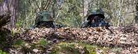 Zwei Soldaten liegen in einer Stellung Wald am Boden und beobachten durch die Zielvisiere ihrer Gewehre das Gelände vor sich.