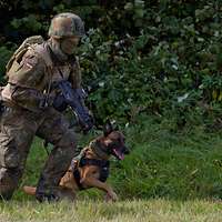 Die Spezialzuege (10)