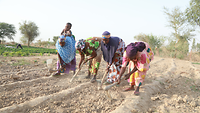Mali - Frauen kämpfen in Mali für mehr Landrechte