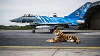 Ein Kuscheltier Tiger und ein sonderfolierter Eurofighter auf dem Flugplatz.