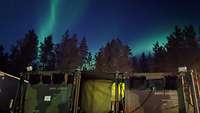 Olive-green containers in front of trees and a bright light in a dark sky