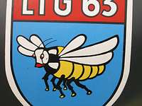 Das Verbandsabzeichen des Lufttransportgeschwaders 63 Ein Wappen mit der Inschrift LTG 63 und einer Grafik der Hummel.