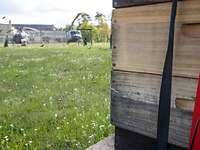 Die Lösung Ein Bienenstock und zwei Helikopter.