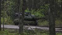 Ein mit Zweigen getarnter Panzer steht zur Sicherung im Wald