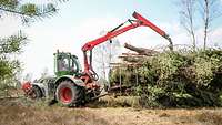 Ein Traktor mit Greifarm lädt Stämme auf einen Hänger
