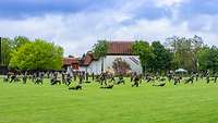 Startseitenbild Standort Warendorf Soldaten bei einer Sportübung auf einer Wiese