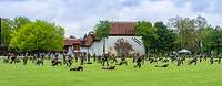 Startseitenbild Standort Warendorf Soldaten bei einer Sportübung auf einer Wiese