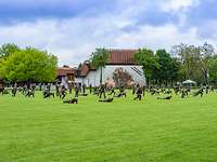 Startseitenbild Standort Warendorf Soldaten bei einer Sportübung auf einer Wiese