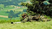 Eine Soldatin liegt auf einem Berg im Gras und studiert eine Karte. Vor ihr erstreckt sich die grüne Landschaft.