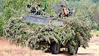 Ein mit Buschwerk getarnter Spähpanzer Fennek steht auf sandigem Untergrund. Aus den Luken schauen zwei Soldaten.