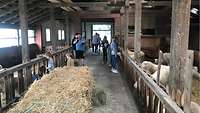 Besuch im Stall Besuch im Stall