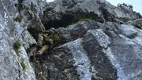 Ein Soldat klettert an einer Felswand mithilfe einer Strickleiter weiter nach oben.