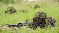 Several soldiers lie camouflaged in green terrain.