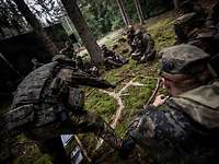 Soldaten haben mit Ästen, Steinen und Moos eine Geländekarte auf den Waldboden gelegt.