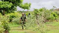 Mehrere malische Soldaten laufen durch grünes Gestrüpp